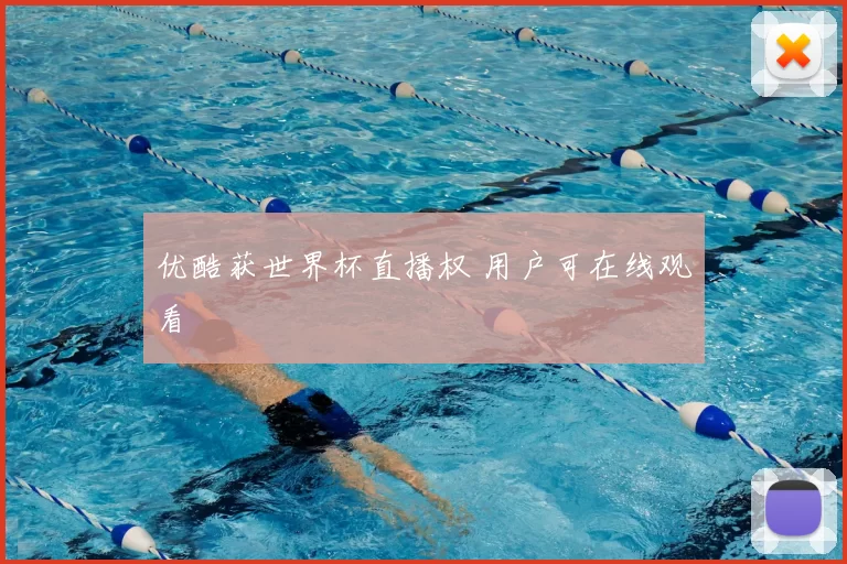 优酷获世界杯直播权 用户可在线观看