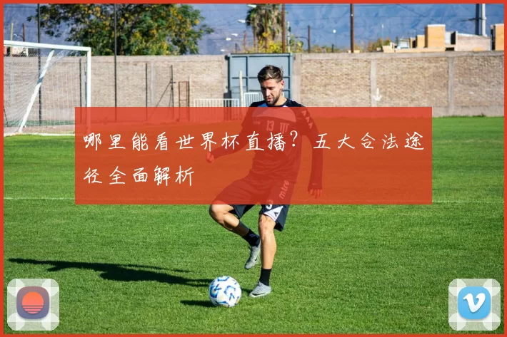 哪里能看世界杯直播？五大合法途径全面解析