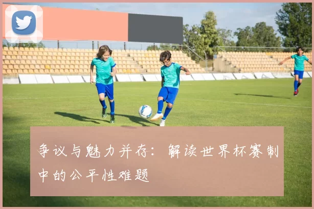 争议与魅力并存：解读世界杯赛制中的公平性难题
