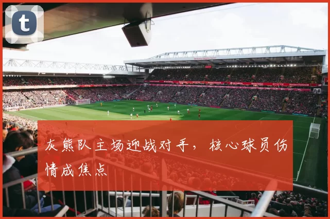 灰熊队主场迎战对手，核心球员伤情成焦点