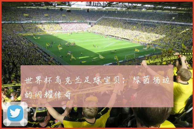 世界杯乌克兰足球宝贝：绿茵场边的闪耀传奇