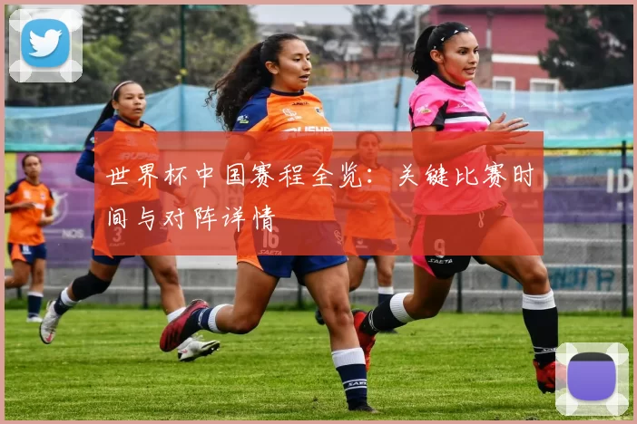 世界杯中国赛程全览：关键比赛时间与对阵详情