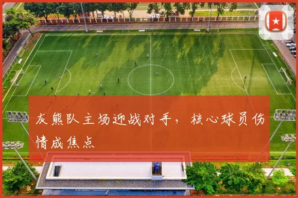 灰熊队主场迎战对手，核心球员伤情成焦点