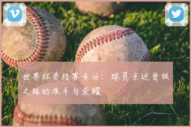 世界杯资格赛专访：球员亲述晋级之路的艰辛与荣耀