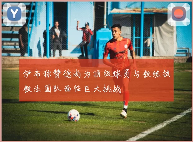 伊布称赞德尚为顶级球员与教练执教法国队面临巨大挑战