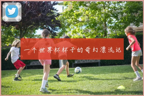 一个世界杯杯子的奇幻漂流记