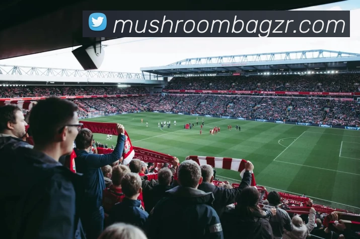 多媒体互动体验