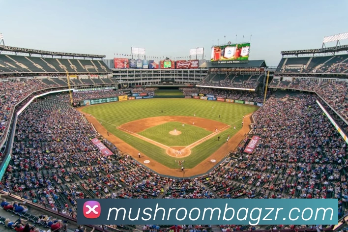 华体APP 体育赛事宣传图